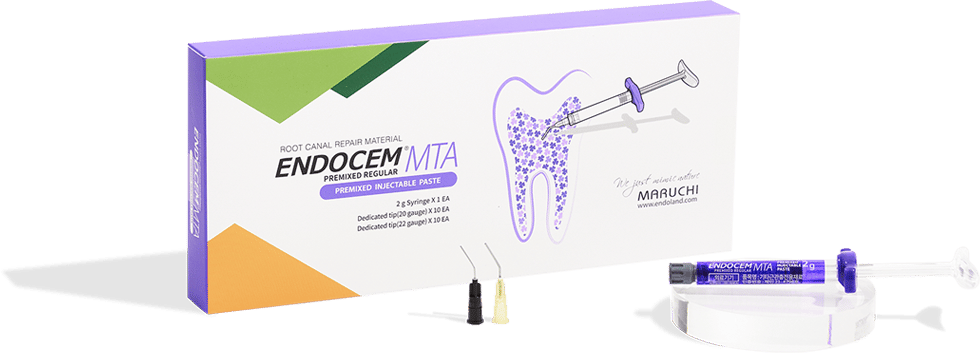 Endocem MTA Pre-mixed Regular, 2g Syringe Kit - Pack 1