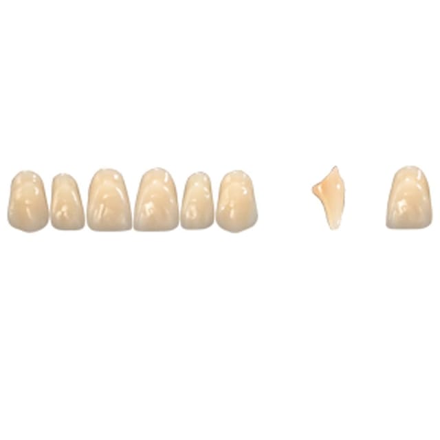 Pala Denture Teeth Mondial 6 Anterior CE - Upper T405