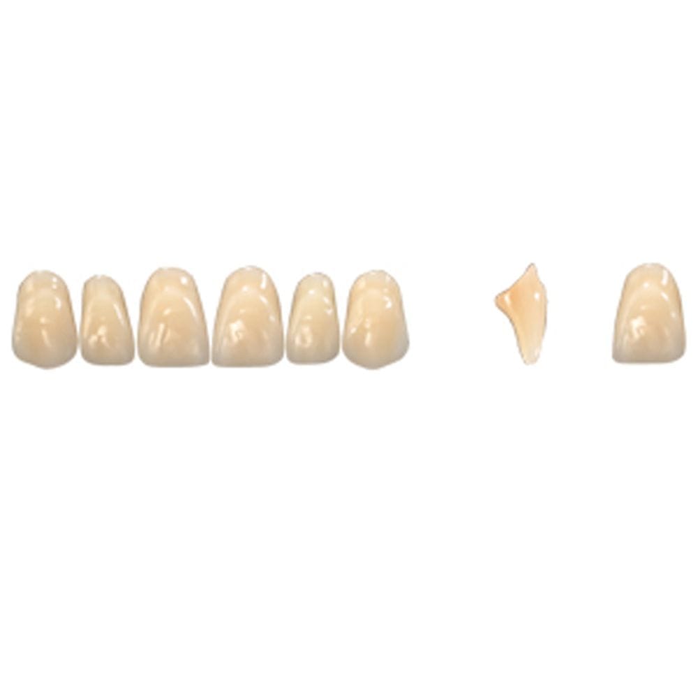 Pala Denture Teeth Mondial 6 Anterior CE - Upper T405