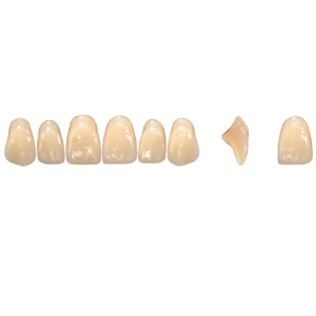 Pala Denture Teeth Mondial 6 Anterior CE - Upper S453E