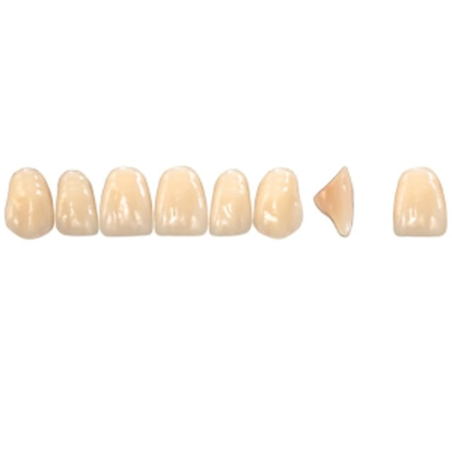 Pala Denture Teeth Mondial 6 Anterior CE - Upper T515E